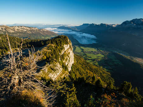 Hiking: Montagne du Charbon from Montgellaz