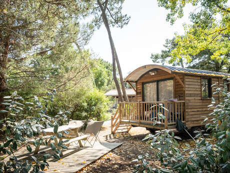 Spend a night in a caravan for 4 people in the heart of the forest