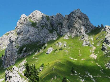 Rocher d'escalade de Chalune