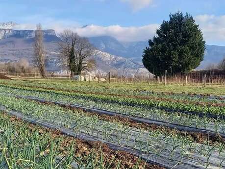 Portes ouvertes Paysannes au GAEC La Amapola