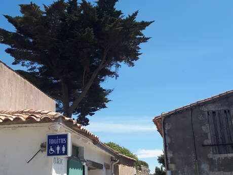 Toilettes publiques - Place Carnot