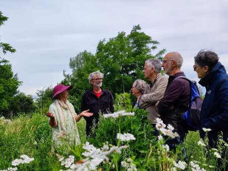 Visite du jardin El Manantial dans le cadre des "Rendez-vous aux jardins"