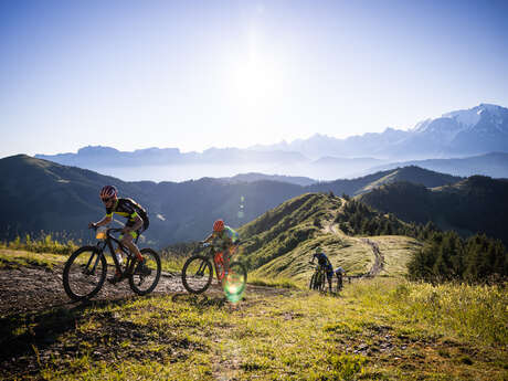 MB Race  (Mountain Biking Race)