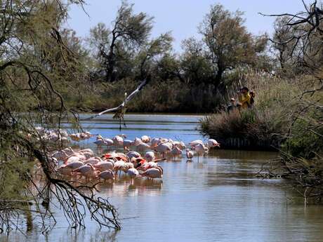 Parc ornithologique de Pont de Gau