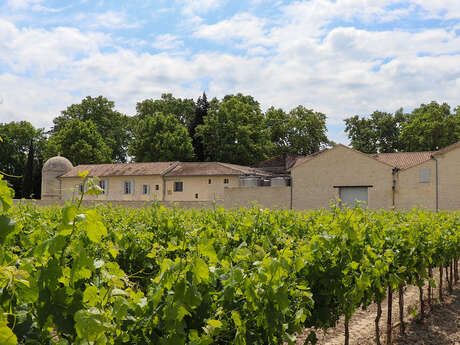 Domaine Grand mas de Lansac