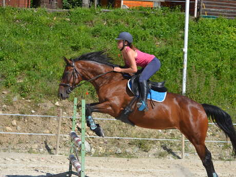 Poney Cheval Nature (les Rapeaux)