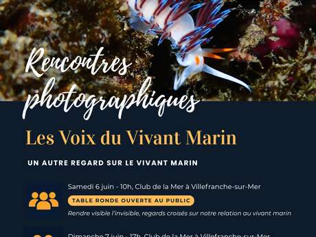 Incontri fotografici: le voci della vita marina