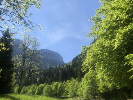 5 - Le tour du Roc d'Arguille en trail