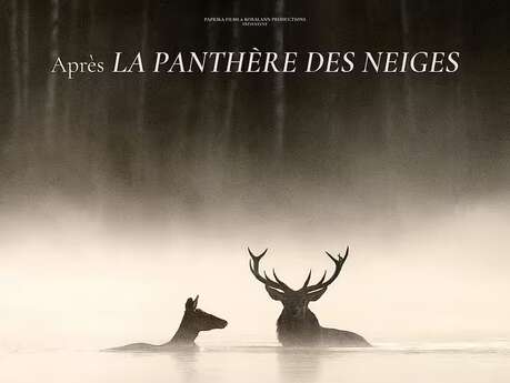 Projection du film "Le chant des forêts"