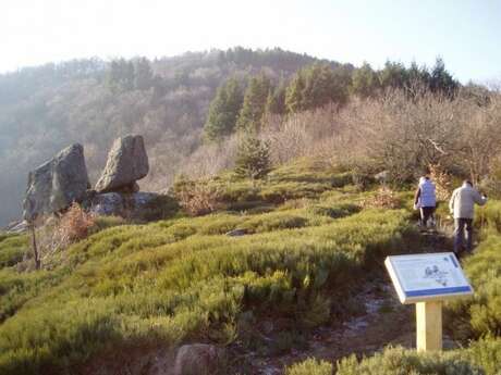 Sentier d'interprétation de la Tortue - boucle de 700m