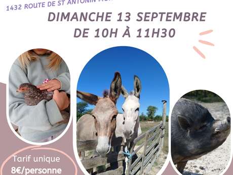 Visita guiada completa a la granja de animales de Pibouls.