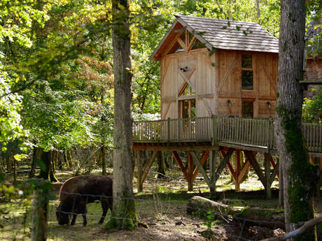 Cabane perchée Ranch - DDLD