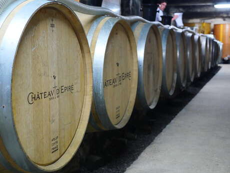 Vignoble et Terroirs au Château d’Epiré