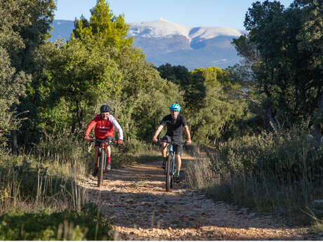 MTB Nr. 13 - Vor den Toren der Nesque