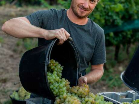 LE JUS DE LA TREILLE