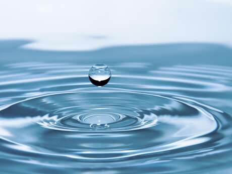 L'importance de l'eau dans notre organisme  - Conférence UPT