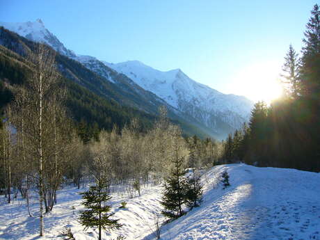 Snowshoeing route in Les Tines