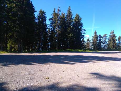 Aire de la forêt - Réservée aux saisonniers