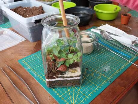 Atelier initiation Terrarium