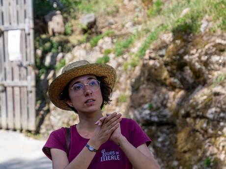 Guided tour - The Towers of Merle
