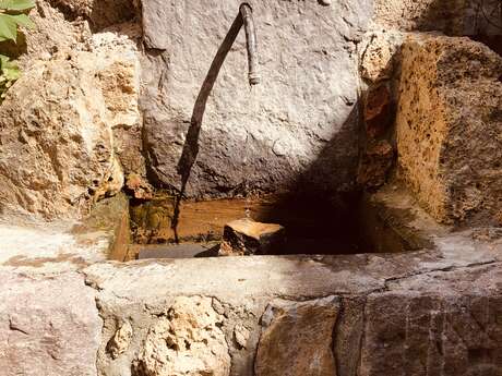 The Belvedere fountains