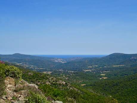 Sentier de la Garde-Freinet au Plan-de-la-Tour en passant par la Mourre