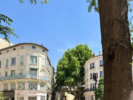 Balade commentée de la place Carnot à la place des Carmes