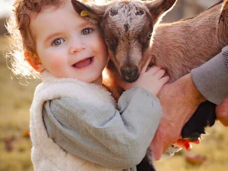 Mini-séances photo à la chèvrerie