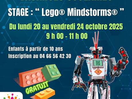 Stage Vacances Scolaires "Robot Lego® Minstorm®"