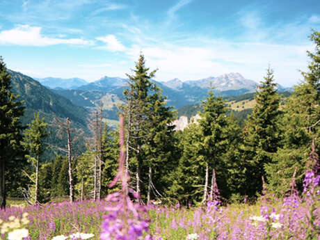 Escapade à Châtel depuis Avoriaz
