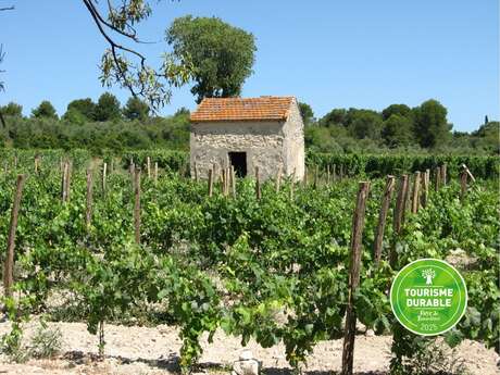 Domaine Costes Cirgues