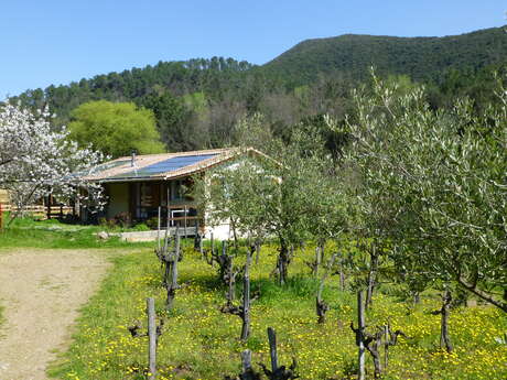 Gites En Cévennes La Bayte - Le Chalet