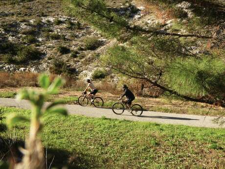 La Côte du Rhône-balade à vélo-54