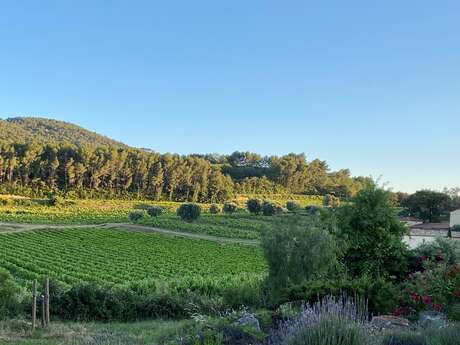 Domaine de la Garenne