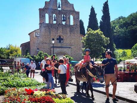 Fête des plantes aromatiques, condimentaires et médicinales