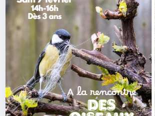 Les Ateliers des Babets "A la rencontre des oiseaux"