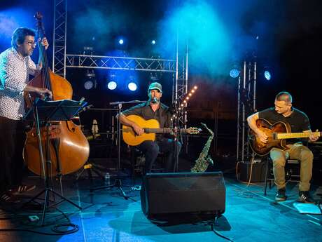 Swing Cannelle - Concert