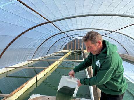 Spiruline du Mas Éole