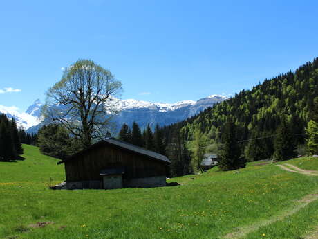 Les Molliets par Haute Combe et Sarbotte