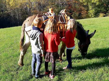 Birthday party - Walk with a donkey