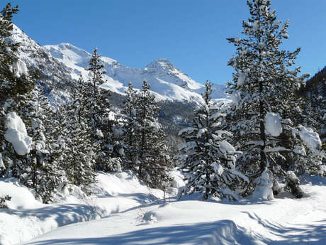 Découverte de la Vallée d'Izoard à raquette - Fugues en Montagne