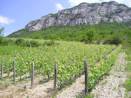 Les Grangeons de l'Albarine
