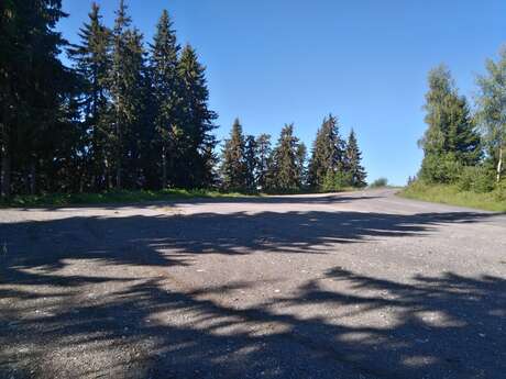 Forest Service Area - Motorhome Forest Service Area - Motorhome