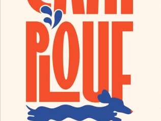 Cani Plouf - Plage pour chien