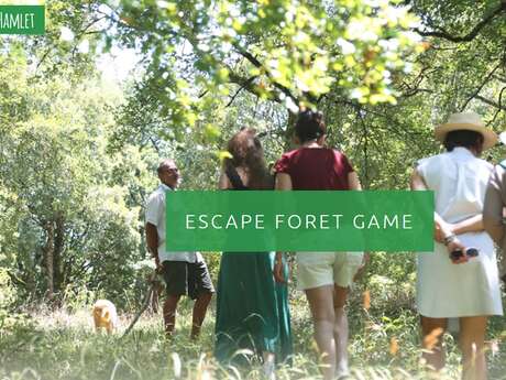 Escape Foret Game