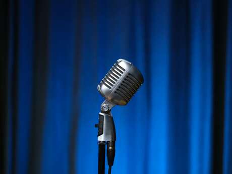 44e Festival d'Humour de Vienne : Michael Hirsch