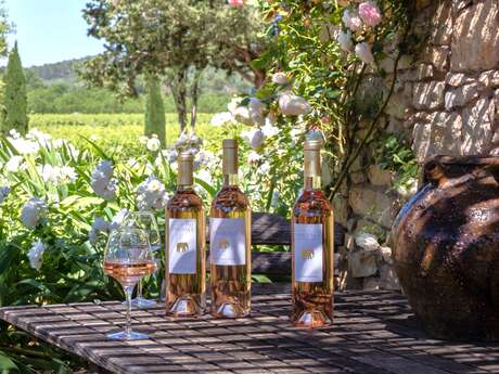 Château des Annibals