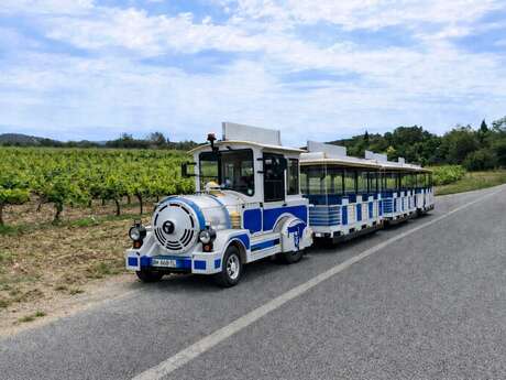 Circuit découverte de La Londe les Maures en Petit Train