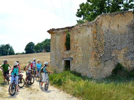 Mountain Biking Plateau Cabins