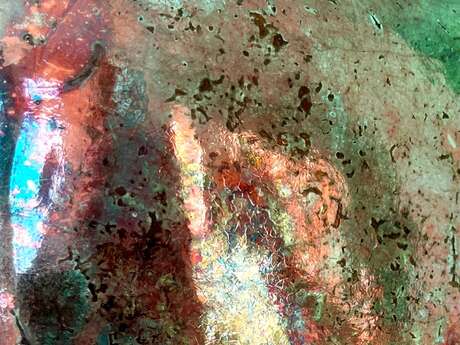 Exposition "Quand la terre devient lumière"